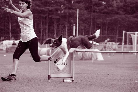 psi pri agility