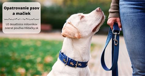 Infografika o povinnom čipovaní psov a mačiek