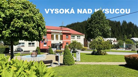 Pes v bezpečnom a čistom prostredí