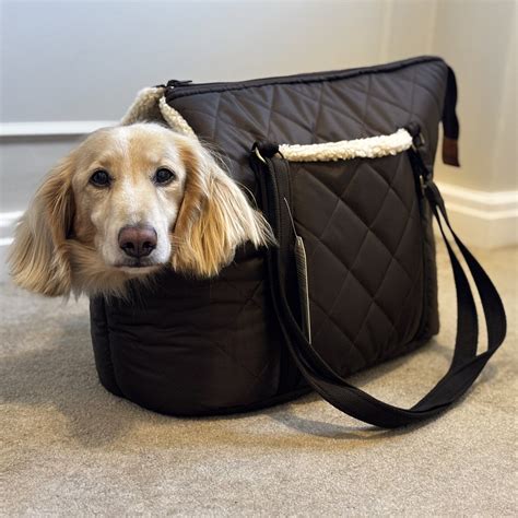 Infografika s kľúčovými kritériami pri výbere tašky pre psa