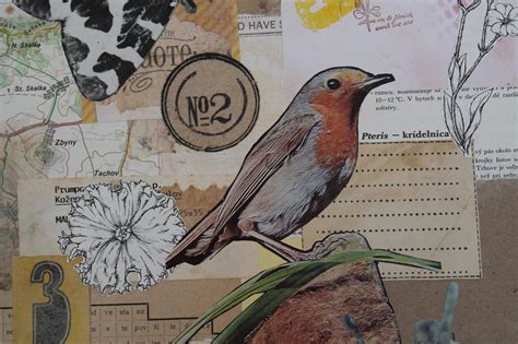 Koláž s rôznymi ilustráciami súvisiacimi s témou vulgarizmov