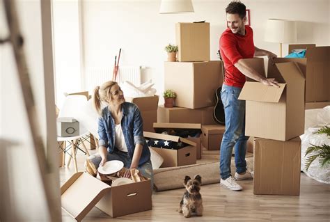 Welsh Terrier v rôznych životných situáciách