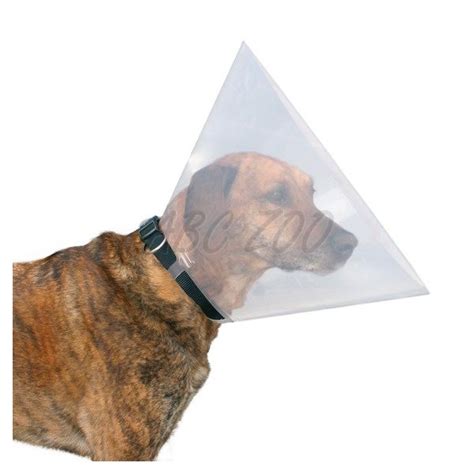 Ochranný golier pre psa