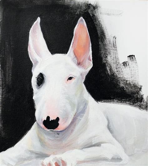 Historická ilustrácia bulteriéra