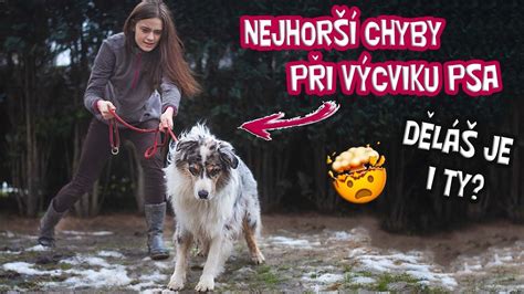 Ilustrácia správneho a nesprávneho prístupu k výcviku psa