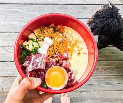 Ilustrácia rôznych zložiek BARF stravy pre psa