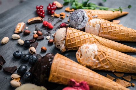 Výcvikový víkend pre psov