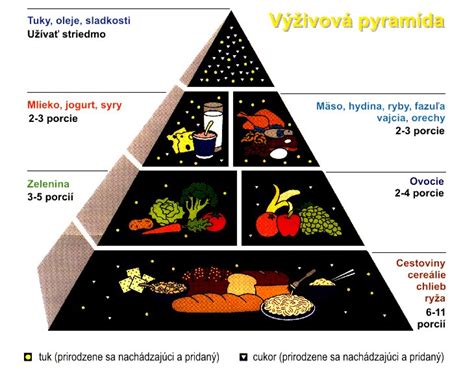 Výživová pyramída pre psa
