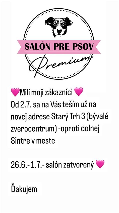 Ilustrácia pravidiel pre psov v meste