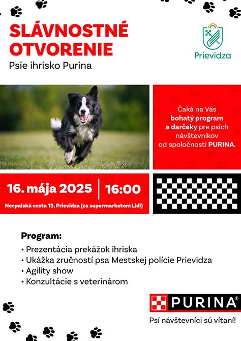 Ilustrácia psa na vôdzke v mestskej zástavbe