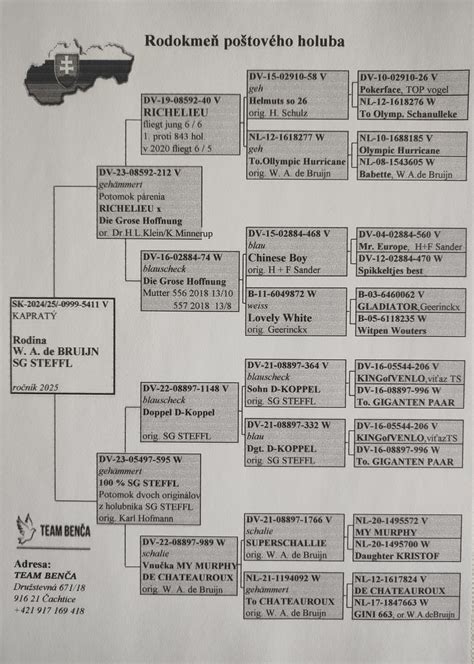 Rodokmeň jorkšírskeho teriéra