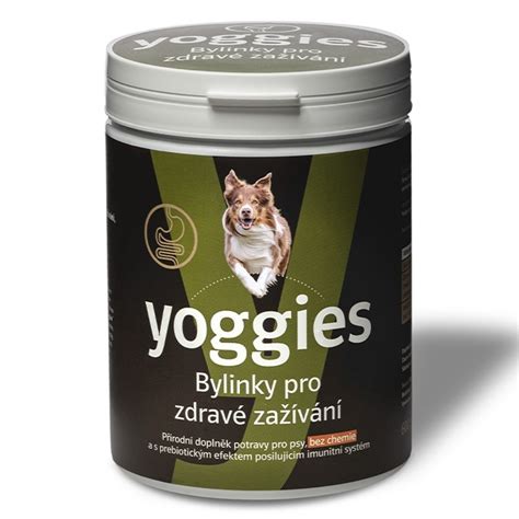 Pes s ergonomicky tvarovaným krmivom pre zdravé trávenie