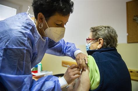 Ilustračná fotografia psa s očkovacím preukazom