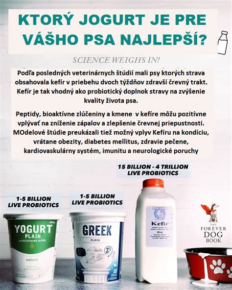 Ilustrácia prípravy domáceho jogurtu pre psa