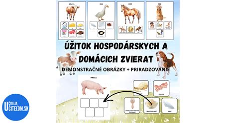 Ilustrácia rôznych domácich zvierat