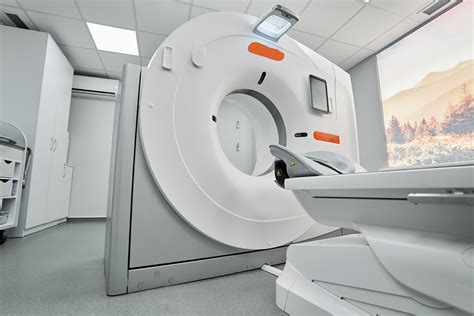 Ilustrácia pet pasu