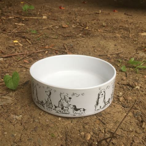 Štýlová miska pre psa s jedlom v luxusnej reštaurácii