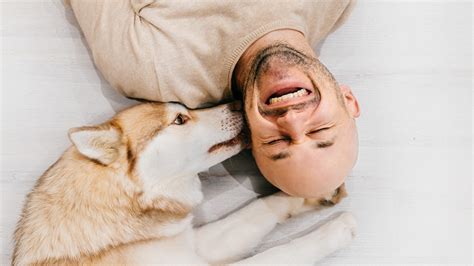 Pes vyplachujúci si ústa