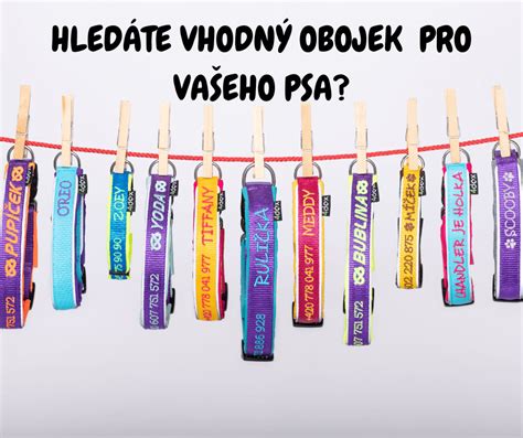 Rôzne typy psích obojkov