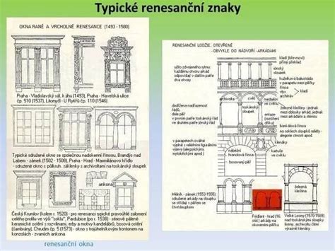 Typické znaky francúzskeho buldoga