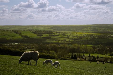 Krajina North Yorkshire