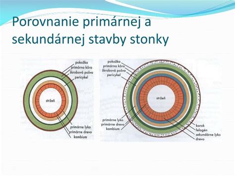 Porovnanie veľkosti a stavby tela populárnych strážnych plemien