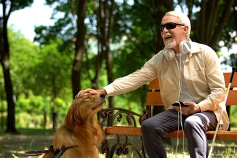 Ilustrácia psa sprevádzajúceho nevidiacu osobu