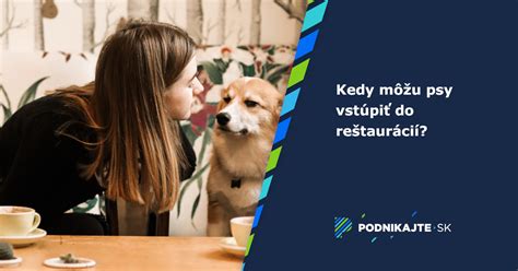 Infografika o pravidlách vstupu so psom do reštaurácie