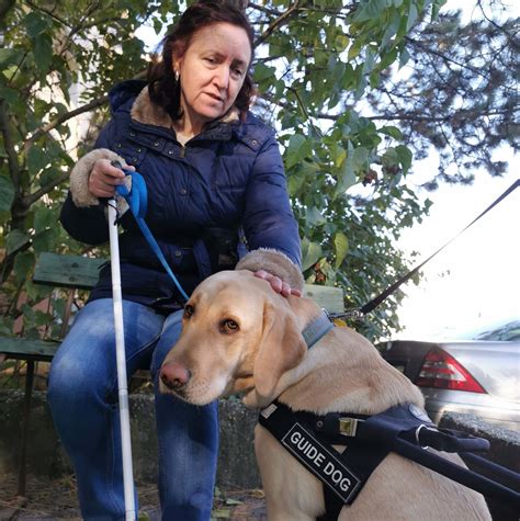 Pes a jeho majiteľka sa hrajú v parku