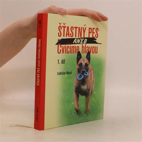 Šťastný pes behá po lúke