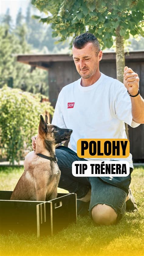 Šteňa v tréningu s trénerom