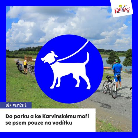 Ilustračná fotografia psa na vodítku v parku