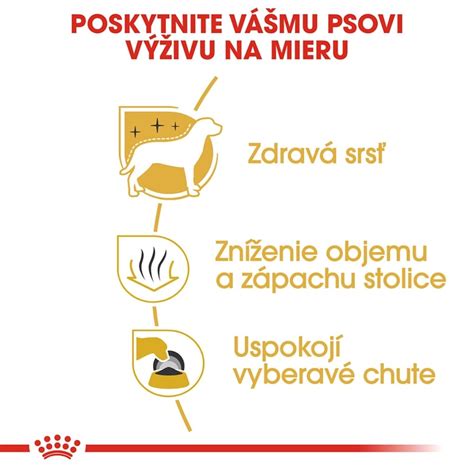 Porovnanie krmiva pre šteňatá a dospelých psov