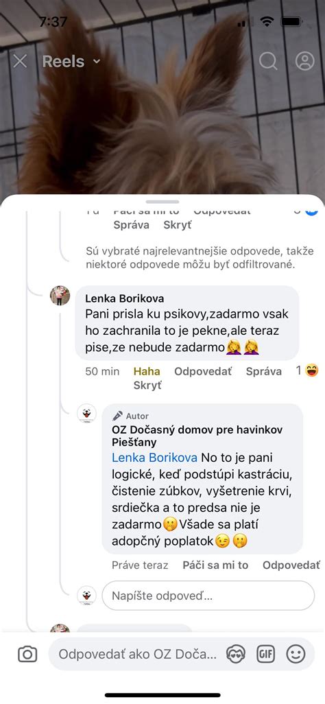 Ilustrácia psíka, ktorý nasleduje svojho majiteľa