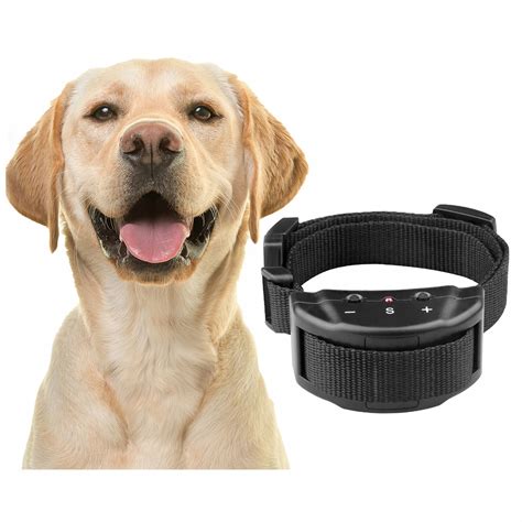 Pes s obojkom proti štekaniu