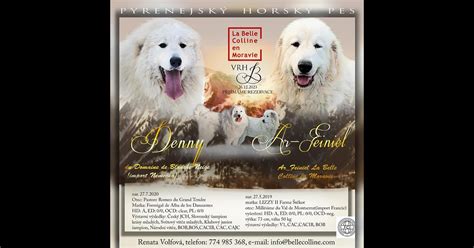 História pyrenejského horského psa