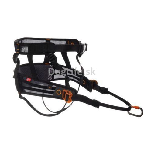 Výbava pre beh so psom