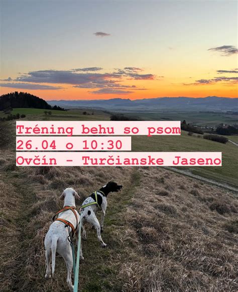 Infografika o pláne behu so psom