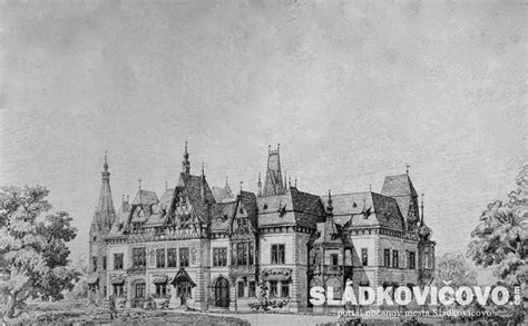 Stará fotografia alebo kresba maďarského chrta z obdobia lovu