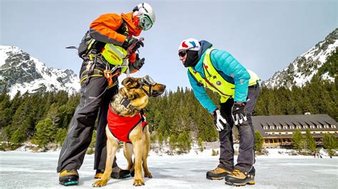 Medzinárodný kynologický seminár