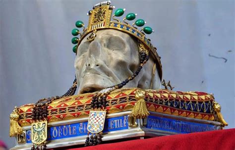 Typická hlava Českého fúzača