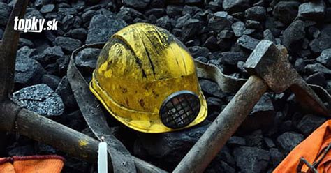 Ilustrácia psa pri práci pre políciu