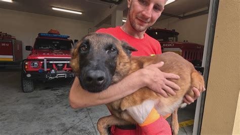 Pes a jeho majiteľ pri tréningu