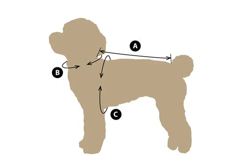 Ilustrácia psa, ktorý sa správa agresívne pri koristi