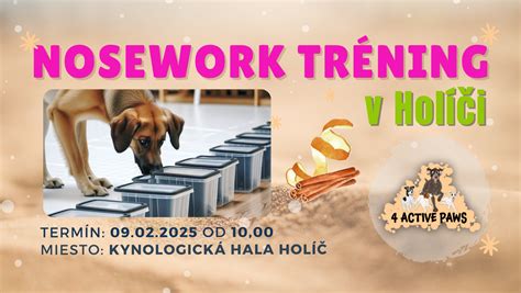 Tréning poslušnosti s pitbulom