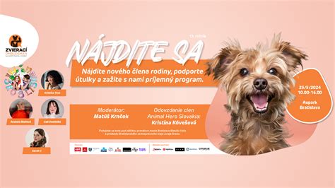 Infografika o procese adopcie zvieraťa z útulku