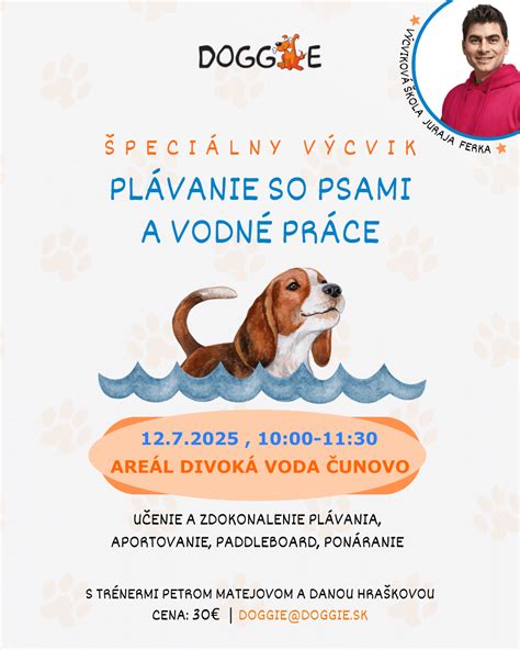 Interiér útulku so psami