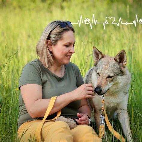 Majiteľ trénuje psa povelom