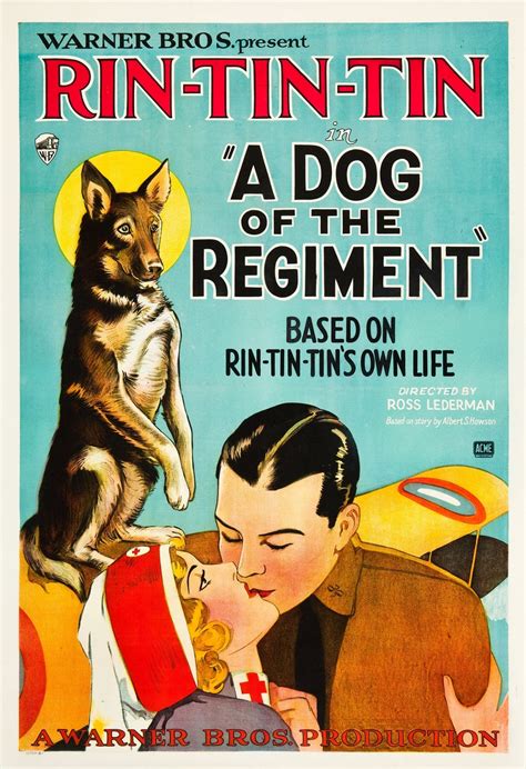 Plagát k filmu Rin Tin Tin