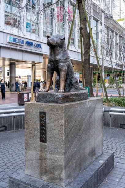 Socha psa Hačikó na stanici Shibuya